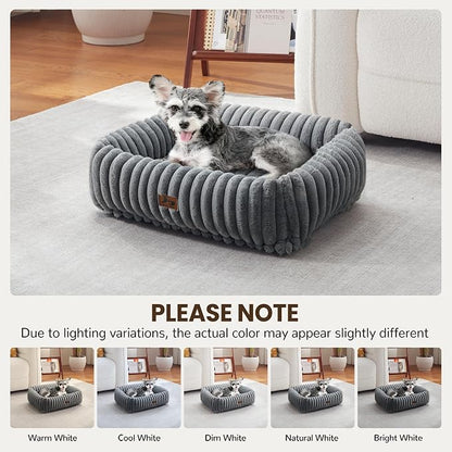 Washable Dog Bed for Small Medium Dogs - Image 5