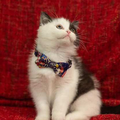 Collar for Cat Pet Breakaway - Image 2