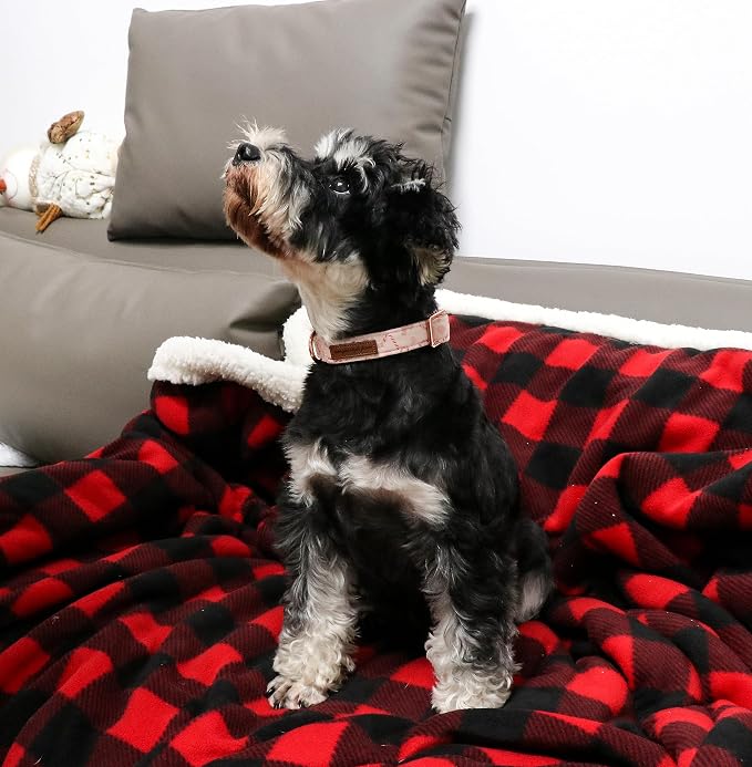 Unique style paws Christmas Dog Collar Metal Buckle Pink Gingerbread Puppy - Image 5