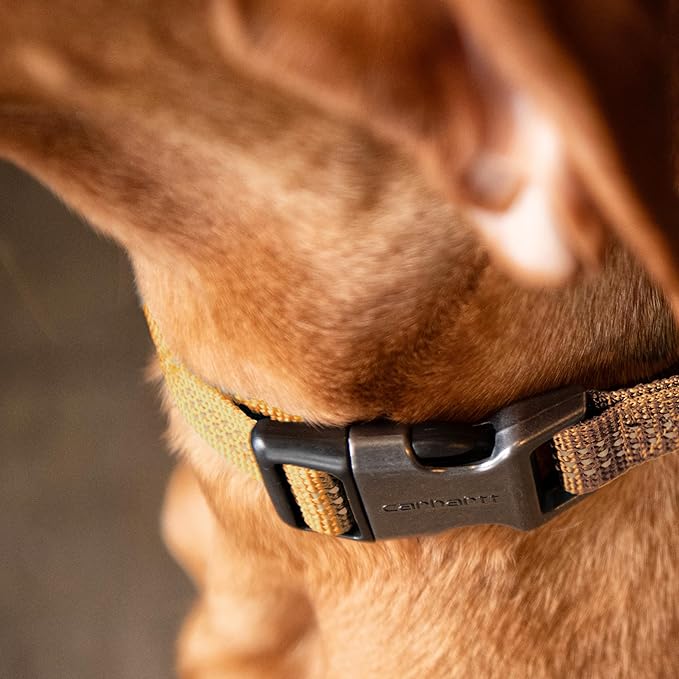 Carhartt Fully Adjustable Nylon Webbing Collars - Image 6