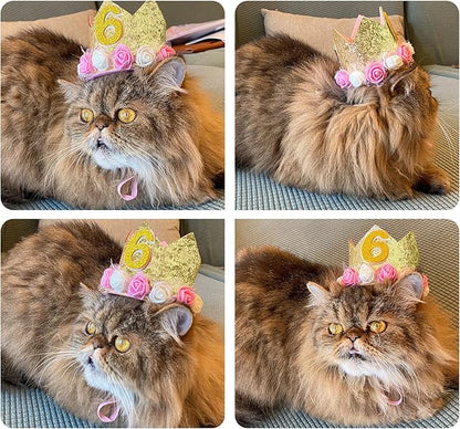 Dog Birthday Crown Hat - Image 6