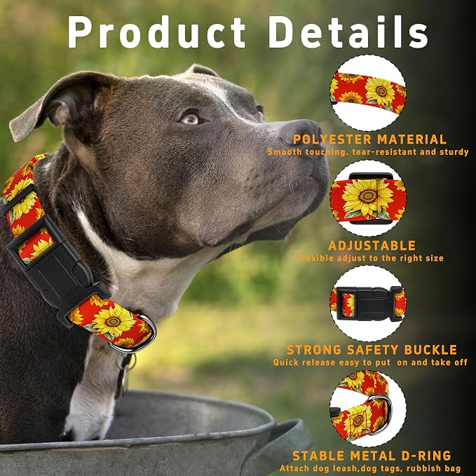Dog Collar, Floral Boys Girls Puppy Collar - Image 2