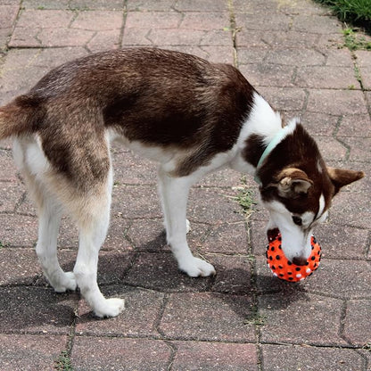 SPOT Vinyl Gumdrop Ball Dog Toy - Image 5