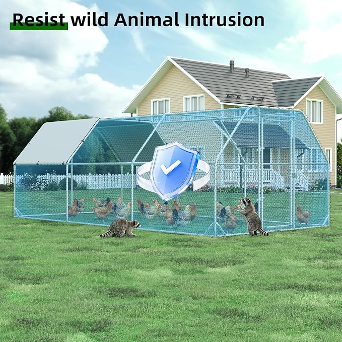 Large Metal Chicken Coop, Walk-in Chicken Run - Image 7