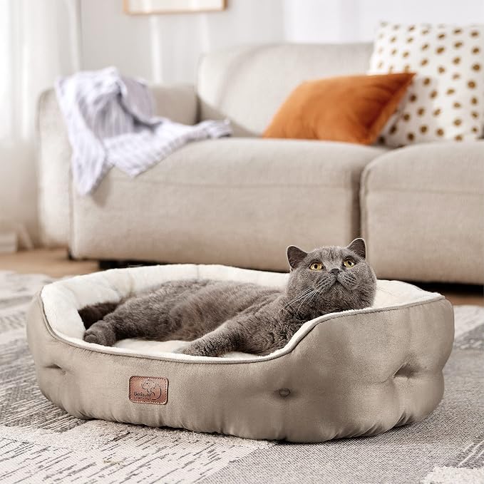 Bedsure Dog Beds for Small Dogs - Image 8