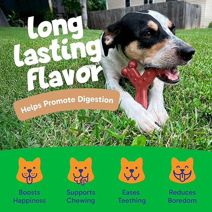 Chew'ems Durable Chew Toys for Small Dogs, Long-Lasting & Flavorful Chew Dog - Image 4