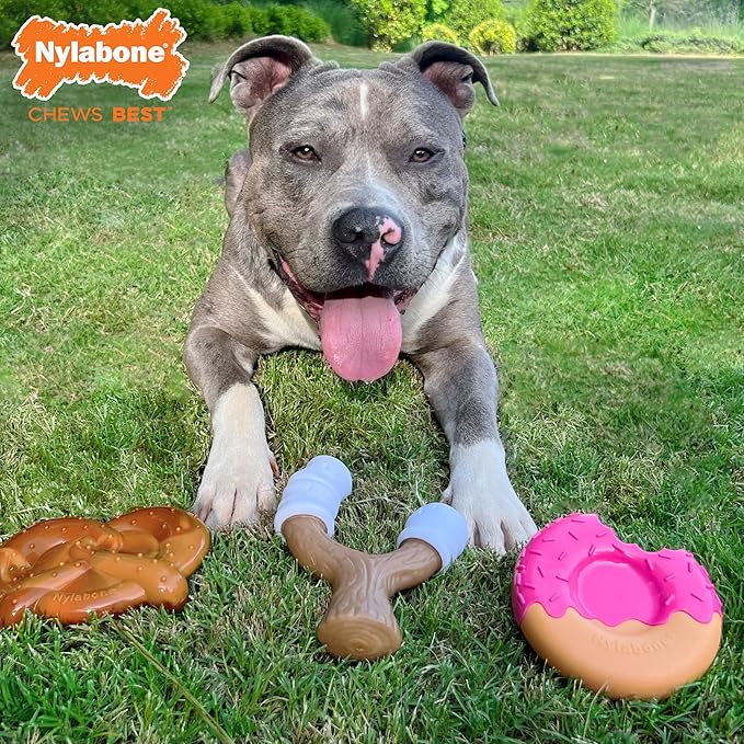 Nylabone Power Chew Toy Bundle, Cute Dog Toys - Image 2