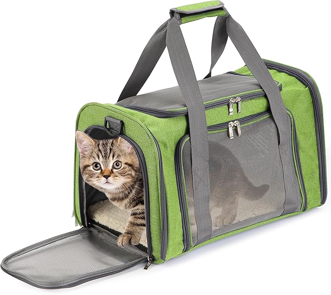 Mr. Pen- Pet Carrier for Cats & Dogs by MrPen