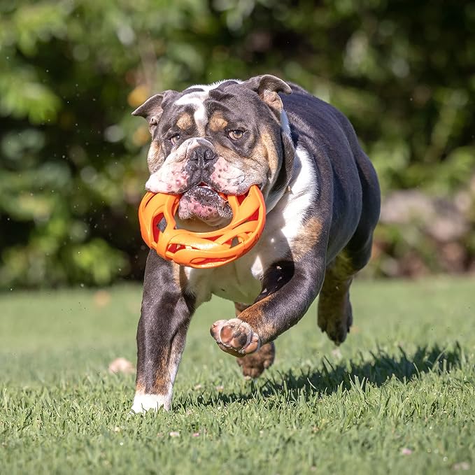 Chuckit! Air Fetch Wheel Dog Toy - Image 8