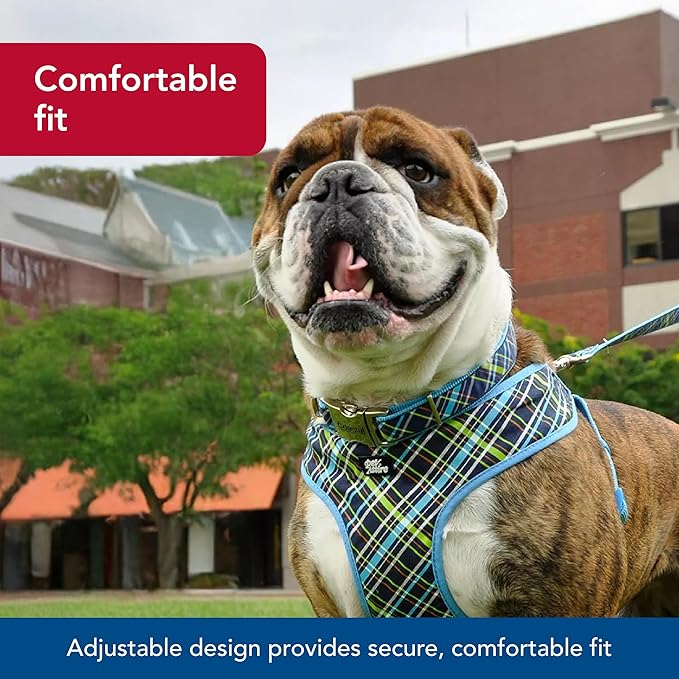 Coastal Pet - Ribbon - Adjustable Dog Collar - Image 3