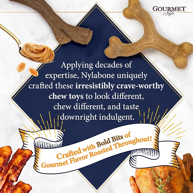 Nylabone Gourmet Style Wishbone Strong Chew Toy - Image 10