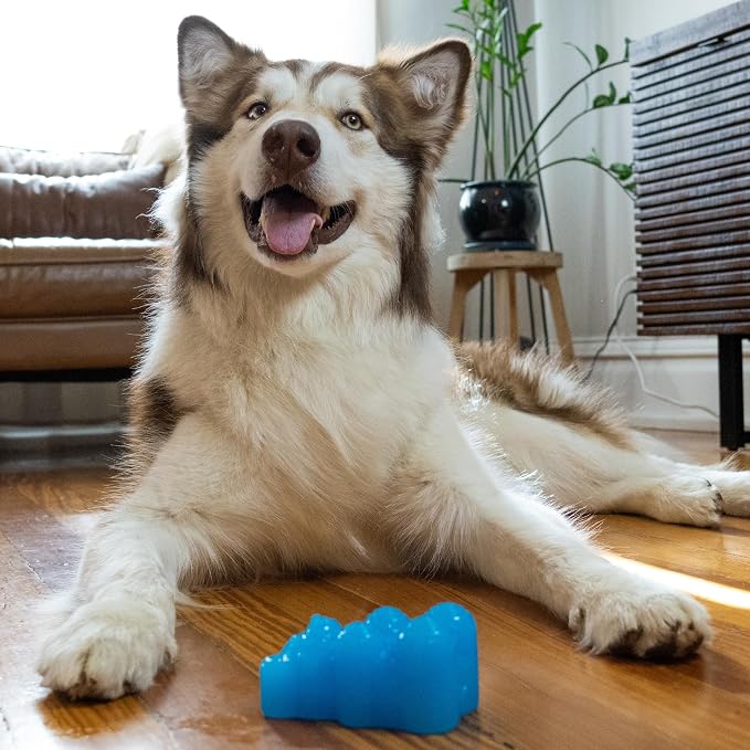 Outward Hound Gummiez Bear Dog Toy & Treat Stuffer, 4.7″ x 3″ Blue - Image 8