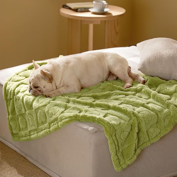 Bedsure Dog Blanket for Medium Dogs Washable by BEDSURE
