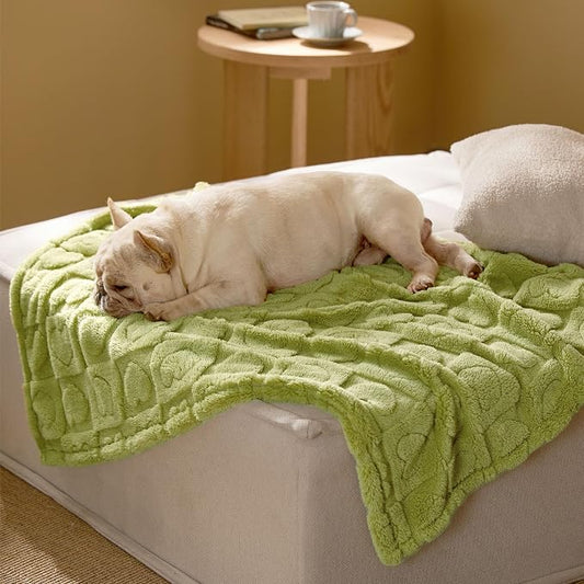 Bedsure Dog Blanket for Medium Dogs Washable by BEDSURE