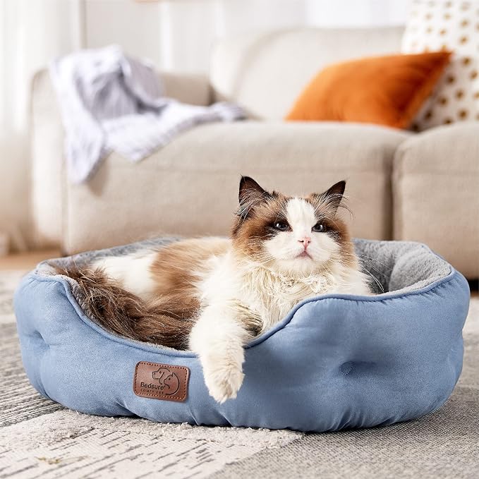 Bedsure Dog Beds for Small Dogs - Image 7