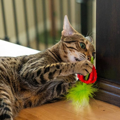Catstages Dental Strawberry Teether, Soft and Textured Cat Chew Toy, Catnip Oil - Image 6