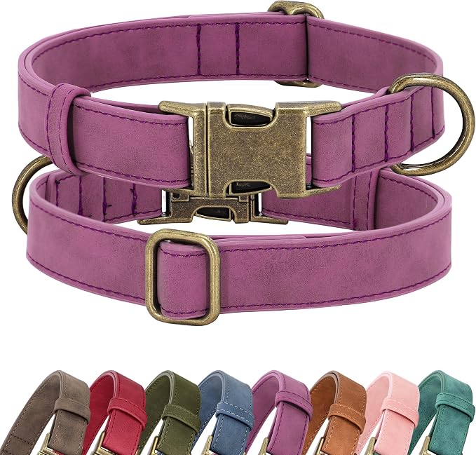 Didog Soft PU Leather Dog Collar, Stylish Quick Released Dog Collars by Didog