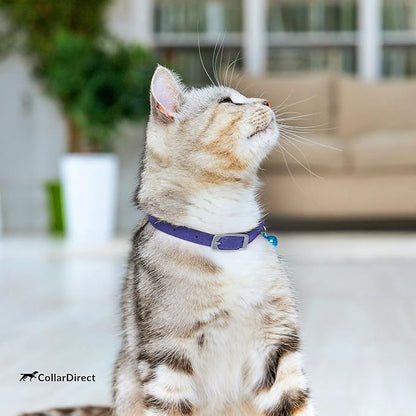 CollarDirect Leather Cat Collar, Kitten Collar - Image 7