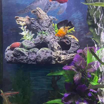 Aquarium Decor Magnetic Driftwood Outcropping Ornament –Wall-Mounted Fish Tank - Image 8