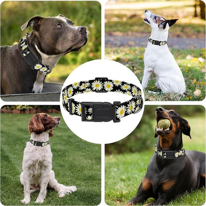 Dog Collar, Daisy Boys Girls Puppy Collar - Image 6
