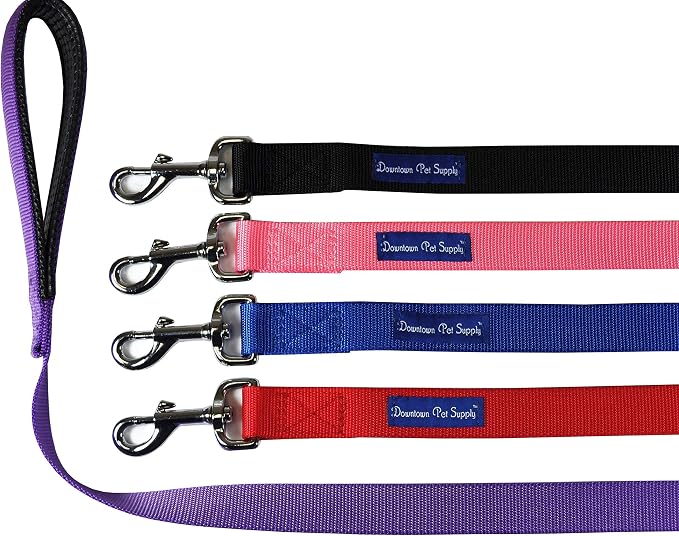 Downtown Pet Supply 2ft Heavy-Duty Dog Leash - Image 2