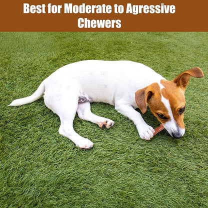 SPOT Bam-Bones Plus Branch -Bamboo Fiber & Nylon, Durable Long Lasting Dog Chew - Image 9