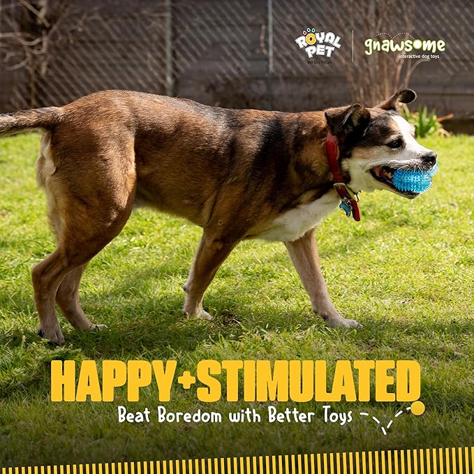Gnawsome Dog Toys - Image 10