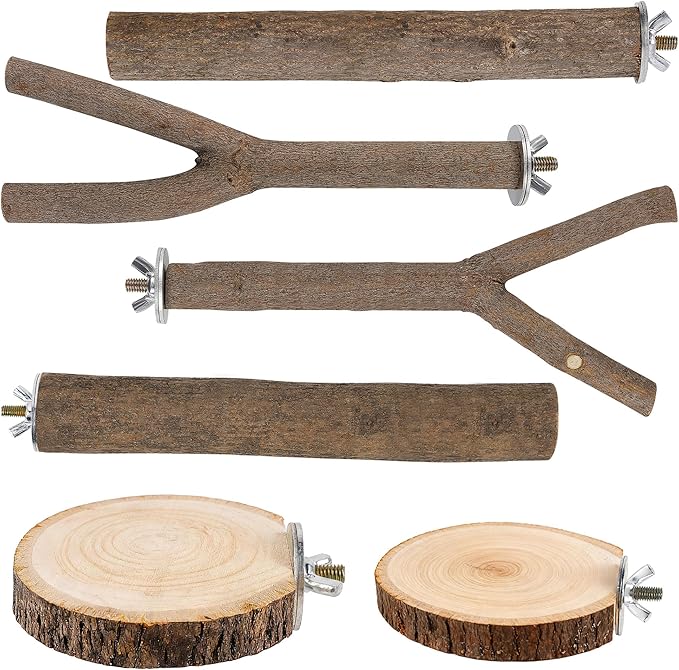 6 PCS Bird Perch Set, Natural Birch Wood Straight & Forked Perches by TreewollAlwaysontheWay