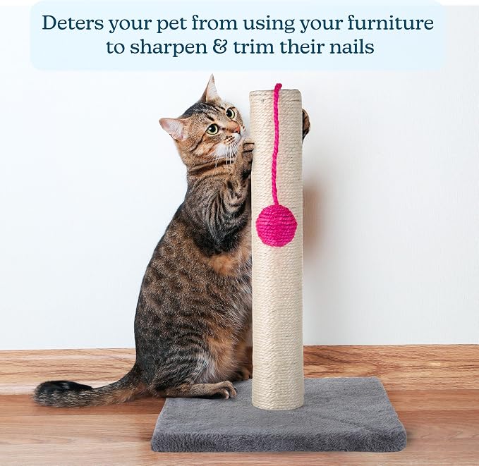 17-Inch Cat Scratching Post - Image 4