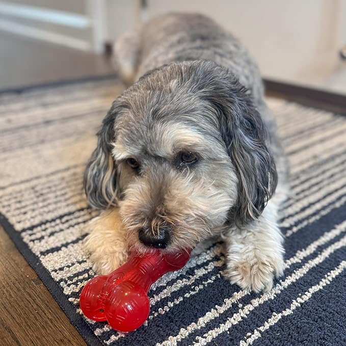 SPOT Play Strong Bone- Durable TPR Long Lasting Dog Chew - Image 7