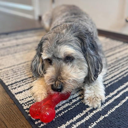 SPOT Play Strong Bone- Durable TPR Long Lasting Dog Chew - Image 7