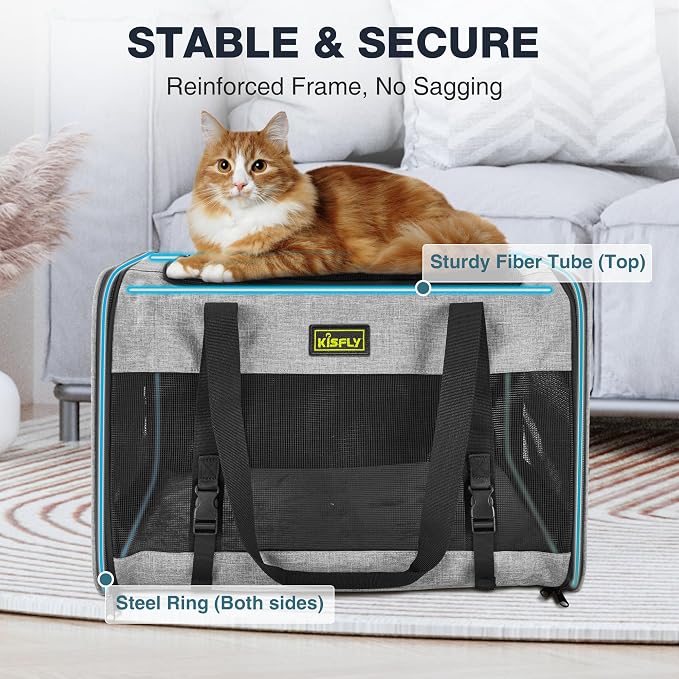 Cat Carrier for 2 Cats/Kitten, Pet Carrier for Cat, Small Dog & Bunny, Foldable - Image 4