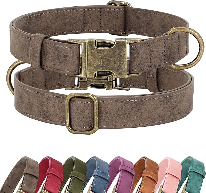 Didog Soft PU Leather Dog Collar, Stylish Quick Released Dog Collar by Didog