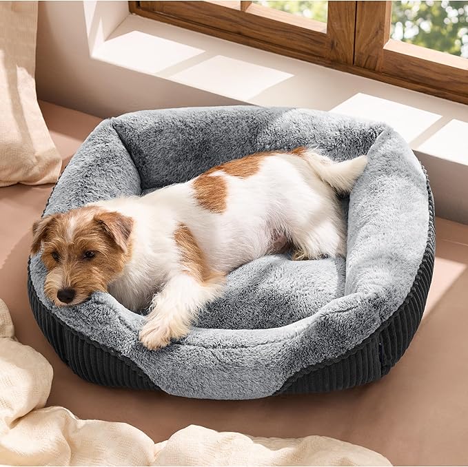 Bedsure Washable Dog Bed Small Medium Size Dog by BEDSURE