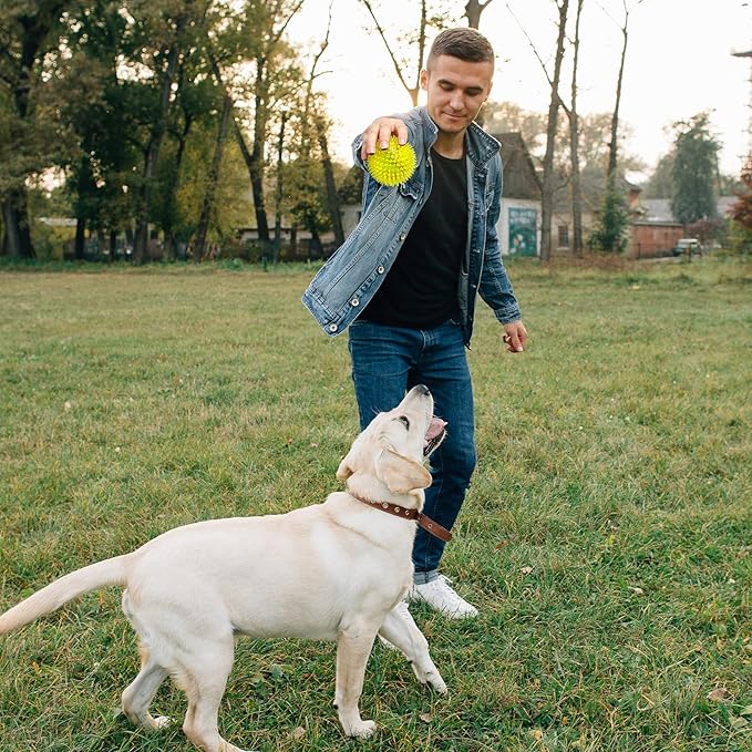 VITEVER 3.5” Squeaky Dog Toy Balls Puppy Chew Toys - Image 7