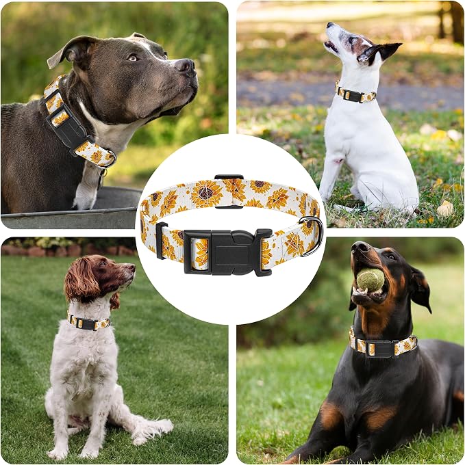 Dog Collar, Floral Boys Girls Puppy Collar - Image 6