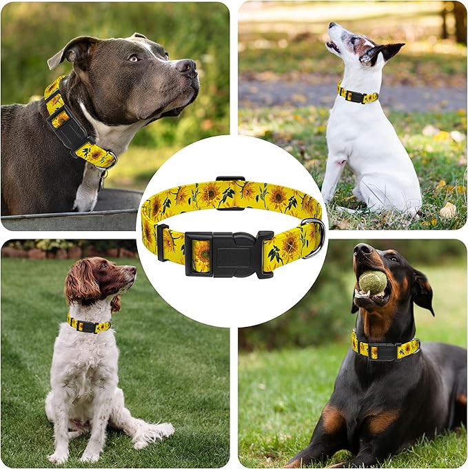 Dog Collar, Floral Boys Girls Puppy Collar - Image 6