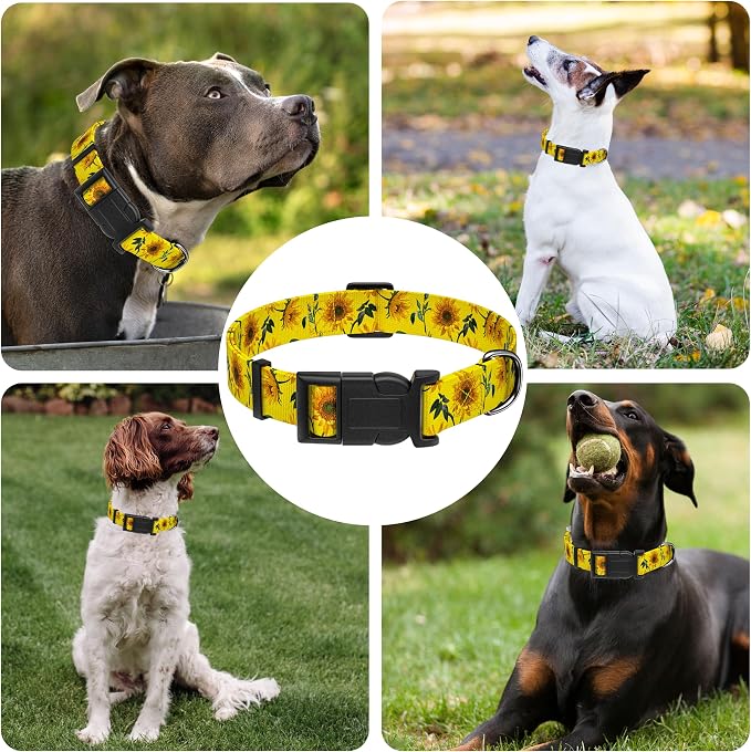 Dog Collar, Floral Puppy Collar - Image 6