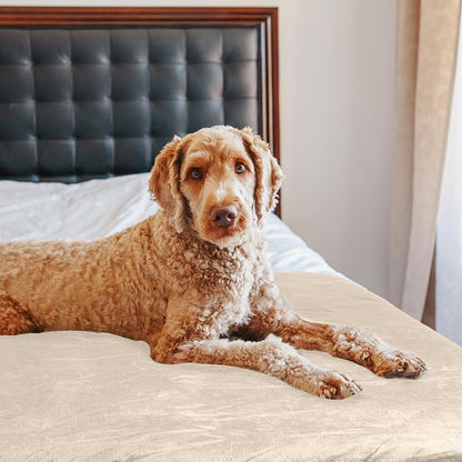 PETMAKER Dog Blanket - Image 7