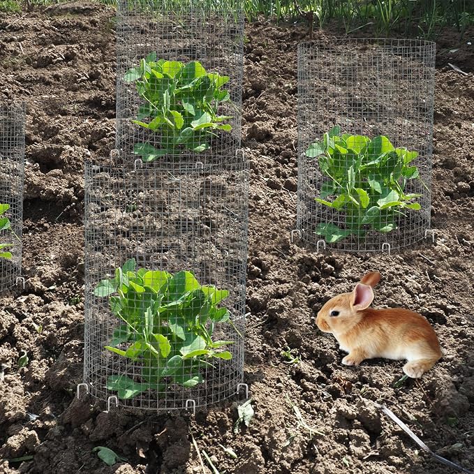 CIEOVO Wire Plant Protector from Animals, Metal Mesh Plant Cage Covers - Image 6