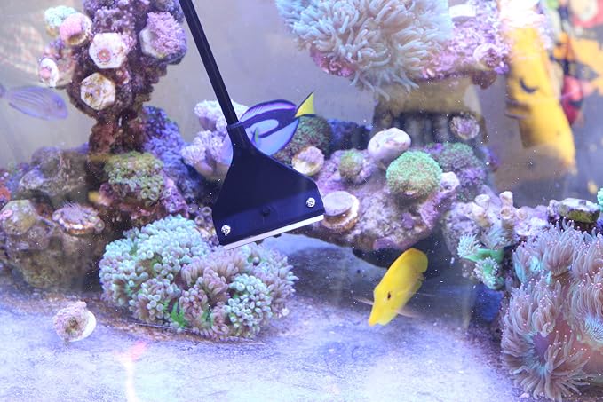 Aquarium Algae Scraper Cleaner Brush - Image 4