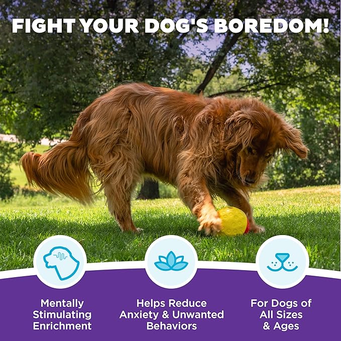 Outward Hound by Nina Ottosson Treat Tumble – Interactive Food-Dispensing Dog - Image 3