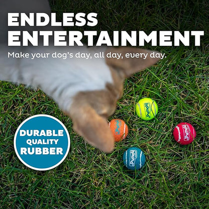 Outward Hound Squeaker Ballz – Squeaky Tennis Balls - Image 5