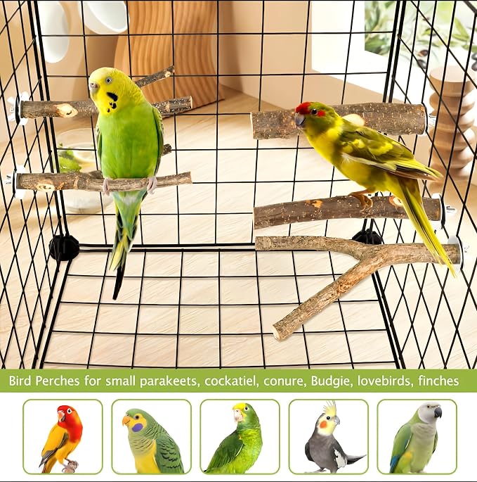 5PCS Natural Wood Bird Perch Set - Image 7