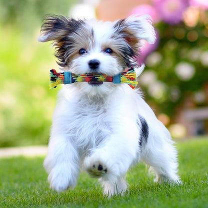 rocket & rex Dog Chew Toy Set for Small to Medium Breeds, Includes a Rope - Image 6