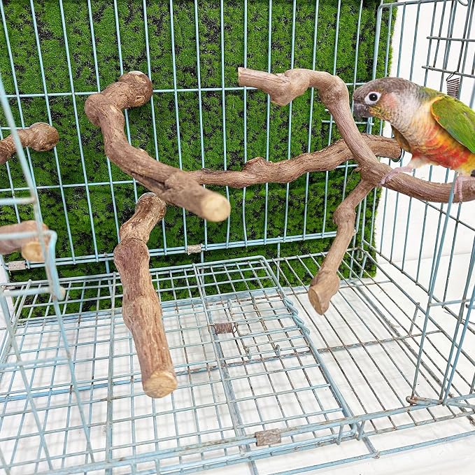 Allazone 5 PCS Natural Grape Stick Perch Swing Chewing Toys - Image 6