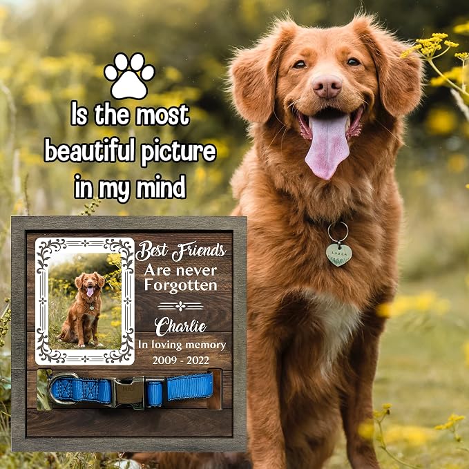 Personalized Cat Dog Memorial Picture Frame Bereavement Gifts Cat Memorial Dog - Image 6