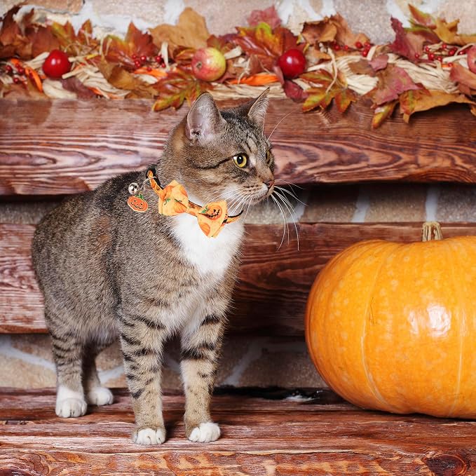 ADOGGYGO Halloween Cat Collars - Image 2