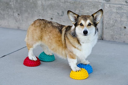 FitPAWS Paw Pods for Dog Agility - Image 3