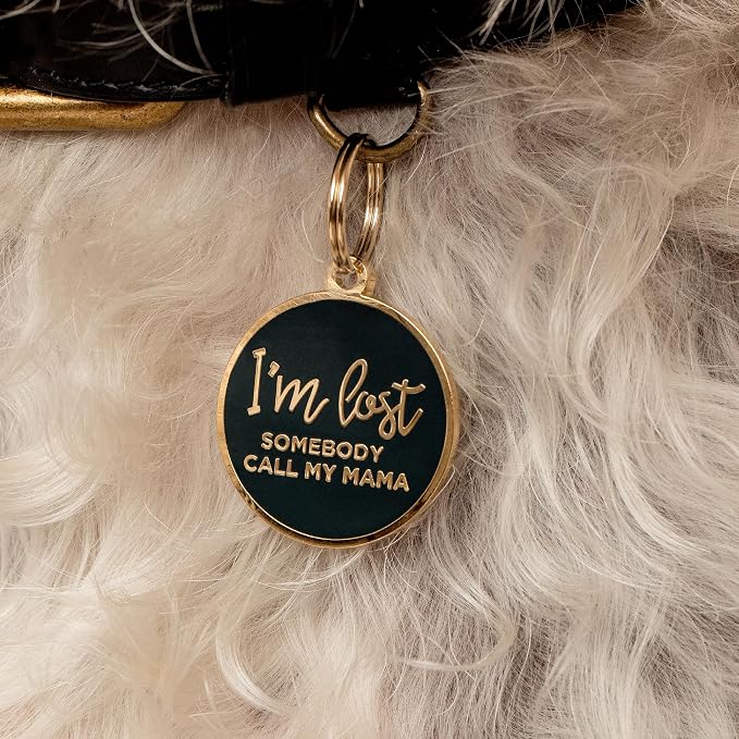 Two Tails Pet Company Dog Tags Personalized “I'm Lost, Somebody Call My Mama” - Image 6